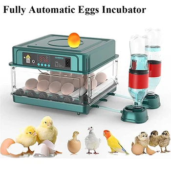 инкубатор за 9-15 яйца за пиле, гъска, птици, пъдпъдъци, Автоматично инкубационное обзавеждане, излюпването на инструменти за инкубация в инкубаториях ЕС/САЩ/Великобритания, штепсельная вилица