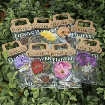 опаковка от 10 листа материал за етикети литературен ретро-наръчник на растенията и цветята, колаж, материал за diy, 8 видове етикети