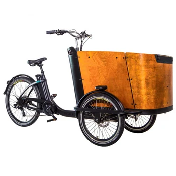 предното товарно детска седалка кутия за сядане крак асистент задно предаване, мотор колело семейството на изходящи 3-колесни електрически велосипеди